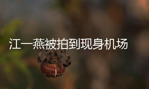 边还拍到个一江一机场燕被有一婴儿引热议现身 身岁多